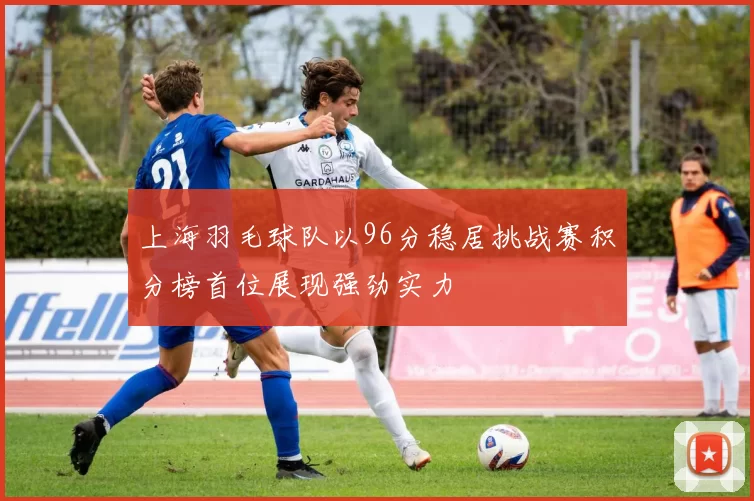 上海羽毛球队以96分稳居挑战赛积分榜首位展现强劲实力