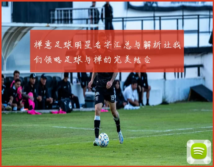 禅意足球明星名字汇总与解析让我们领略足球与禅的完美结合