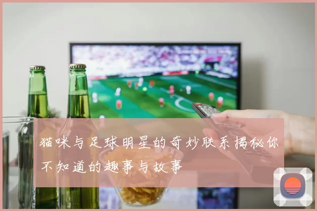 猫咪与足球明星的奇妙联系揭秘你不知道的趣事与故事