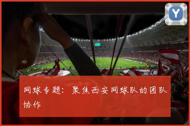 网球专题：聚焦西安网球队的团队协作