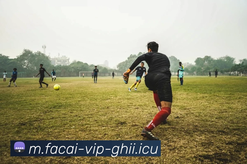 乐鱼体育注册品牌故事