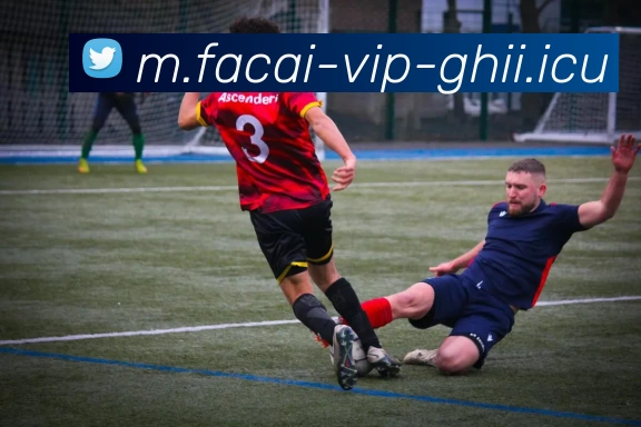 乐鱼体育注册服务体系