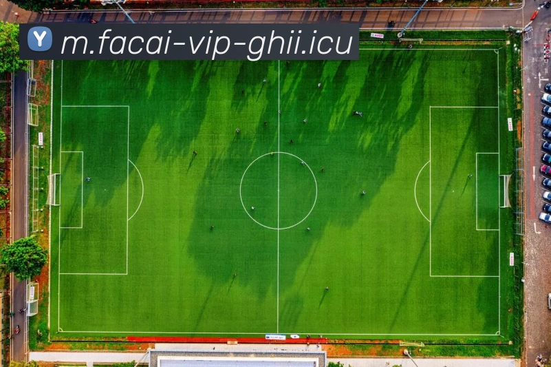 乐鱼体育注册APP 体育赛事宣传图